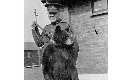 Once Upon a Time: Teddy the Bear goes to war